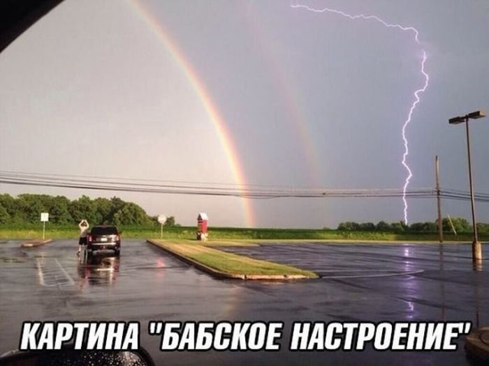 Прикольные картинки