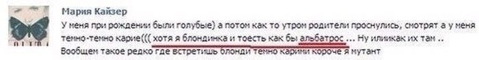 Женская глупость в постах и переписках