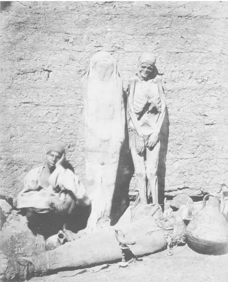 Кошмарные исторические факты Кошмарные исторические факты