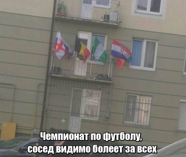 Прикольные картинки