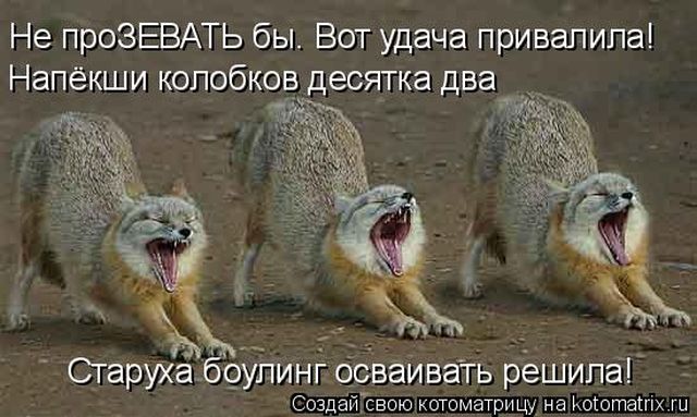 Лучшие котоматрицы недели