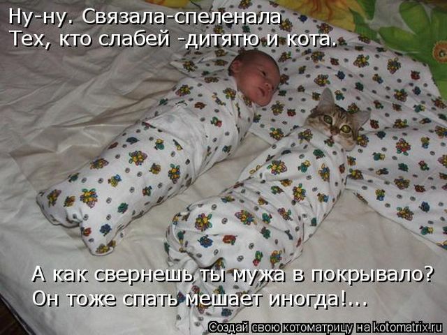 Лучшие котоматрицы недели