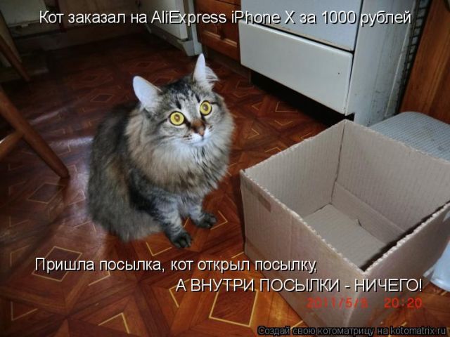 Лучшие котоматрицы недели