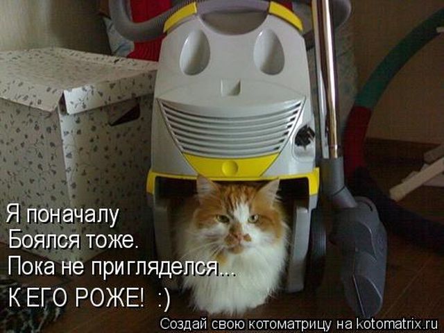 Лучшие котоматрицы недели