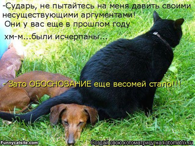 Лучшие котоматрицы недели
