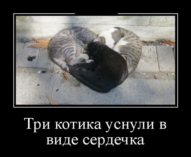 Демотиваторы