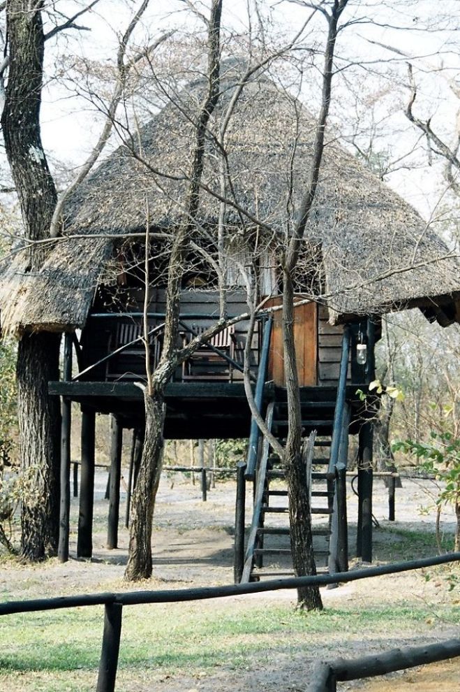 Идеальные дома на деревьях (20 фото)
