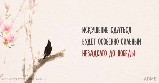 Китайской мудрости пост