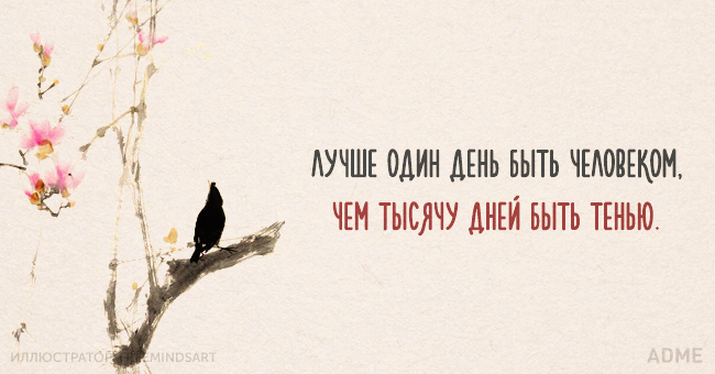 Китайской мудрости пост