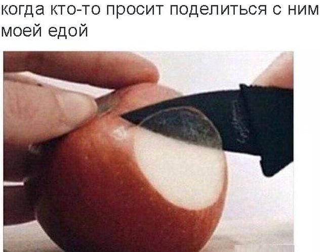 Кучка картинок