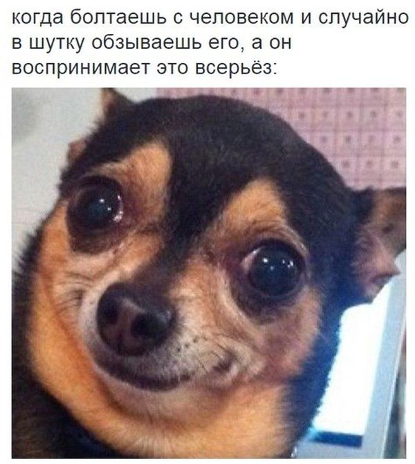 Кучка картинок
