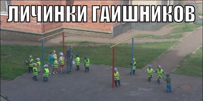 Кучка картинок
