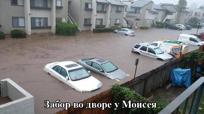 Кучка картинок