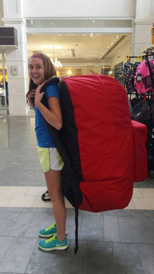 Кучка картинок