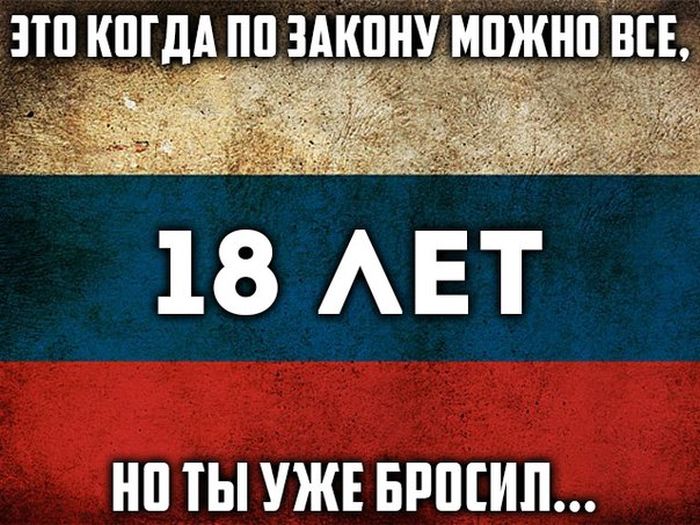 Кучка картинок