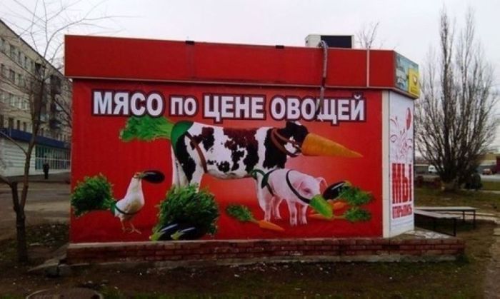 Прикольные фото, которые можно увидеть только в России
