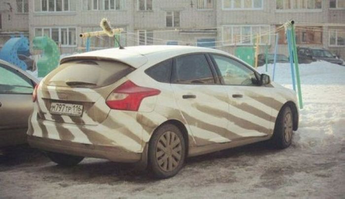 Прикольные фото, которые можно увидеть только в России