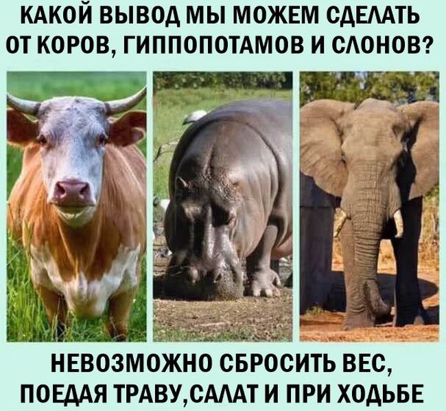 Прикольные картинки