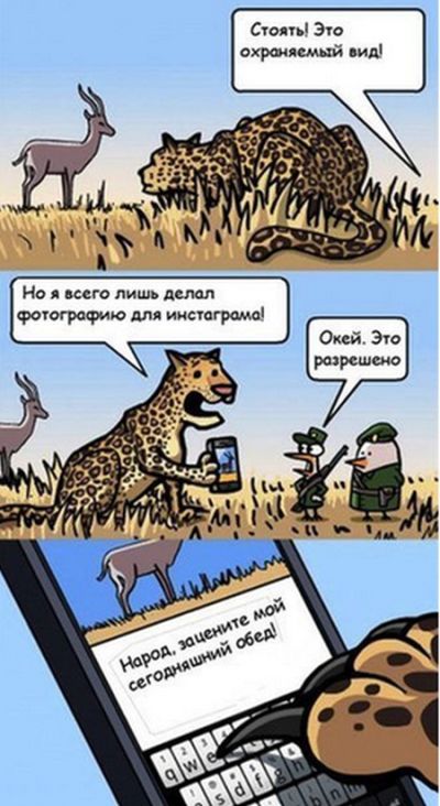 Смешные комиксы