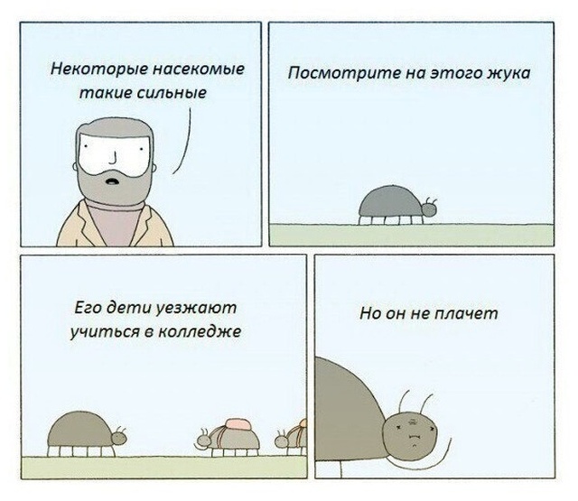Смешные комиксы
