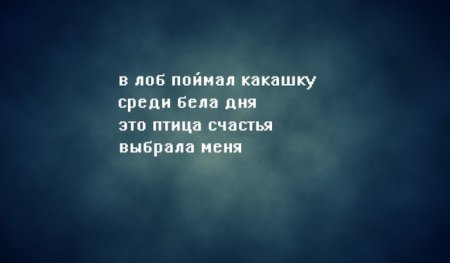 Немного прозы для настроения на весь день