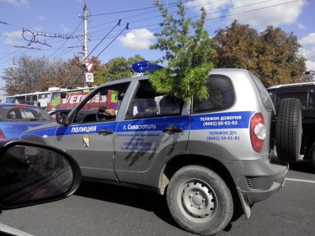 "П" - значит полиция