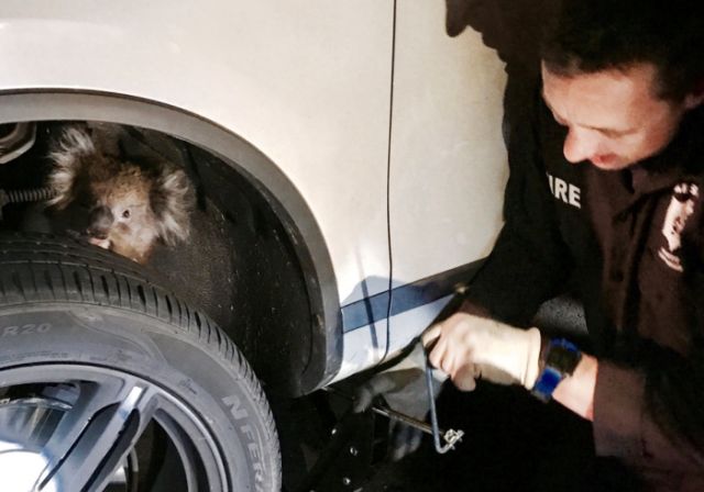 Неожиданная находка в подвеске внедорожника