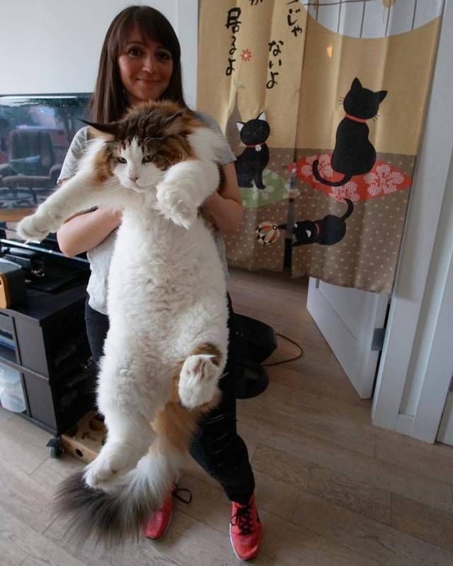 Прикольные картинки