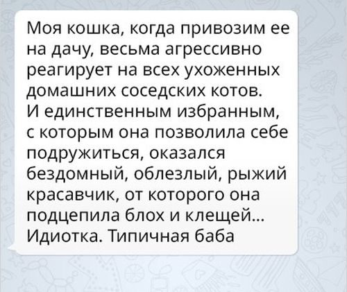 Женская логика - непростая наука