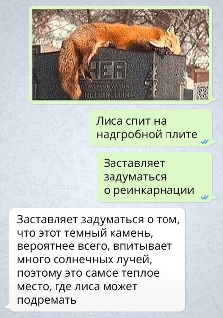 Женская логика - непростая наука