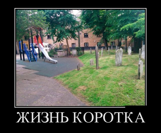 Демотиваторы