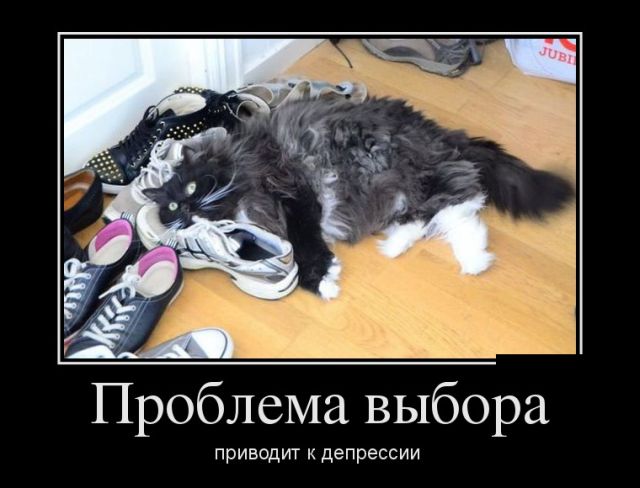 Демотиваторы