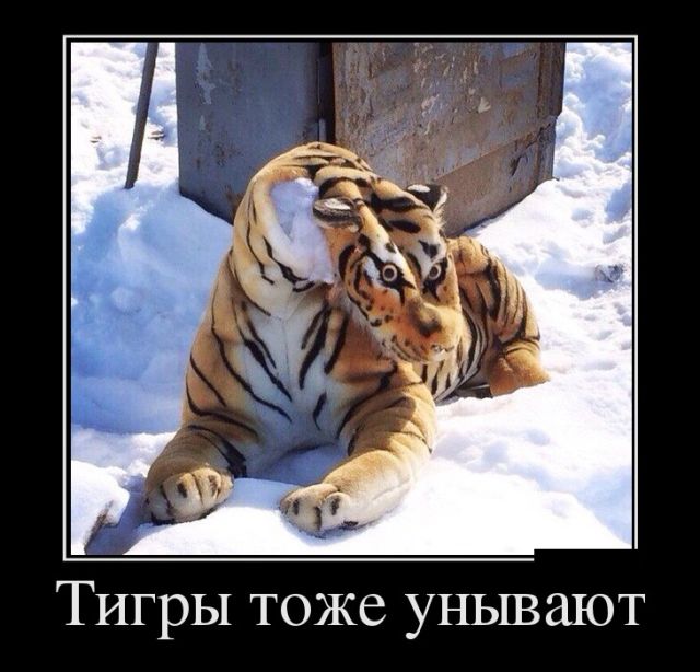 Демотиваторы