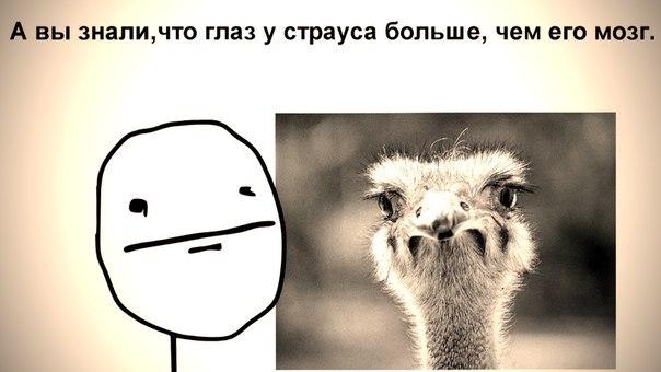 Комиксы (29 фото)