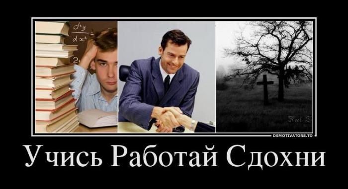 Демотиваторы (51 фото)