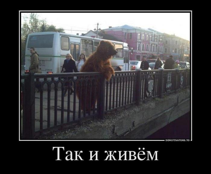 Демотиваторы (51 фото)