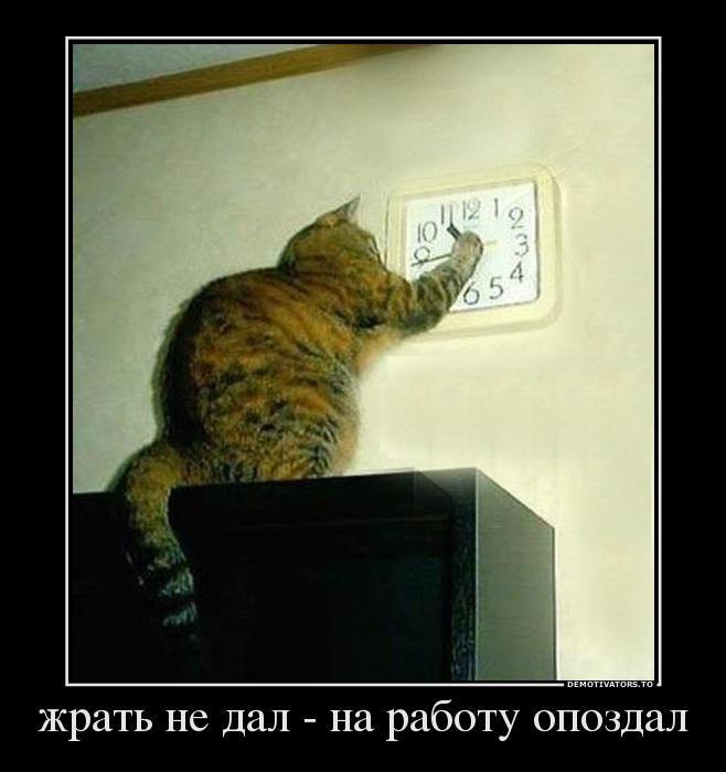 Демотиваторы (51 фото)