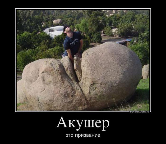 Демотиваторы (51 фото)