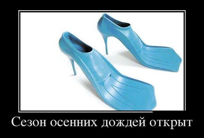 Демотиваторы (51 фото)