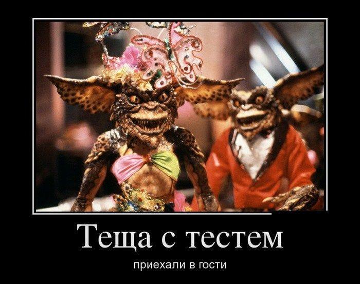 Демотиваторы (51 фото)