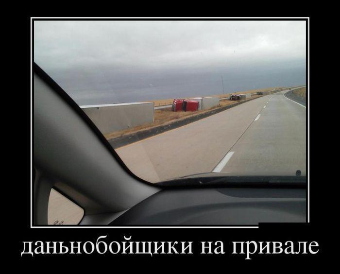 Демотиваторы (51 фото)