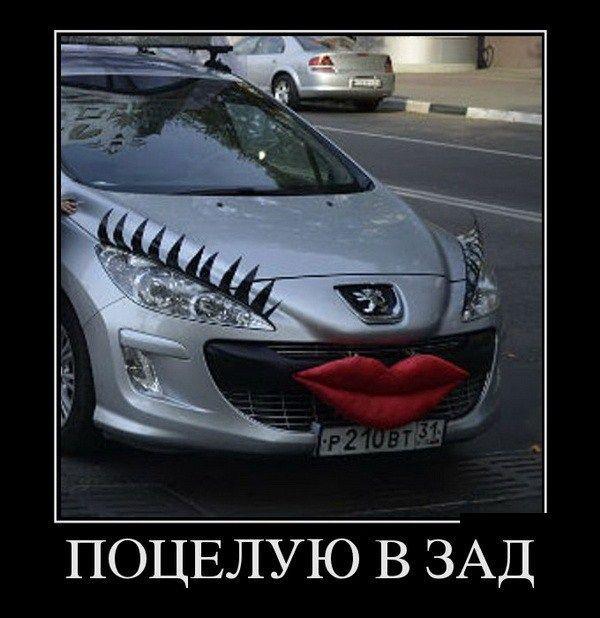 Демотиваторы (51 фото)