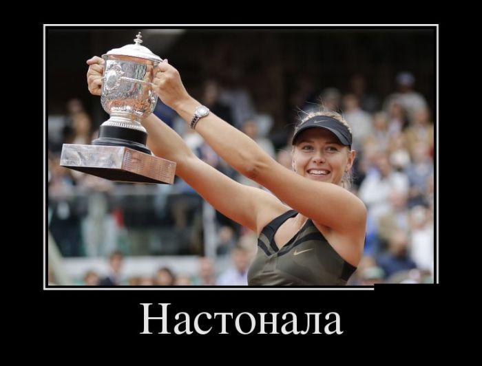 Демотиваторы (51 фото)