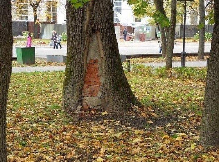 Веселые картинки (95 фото)