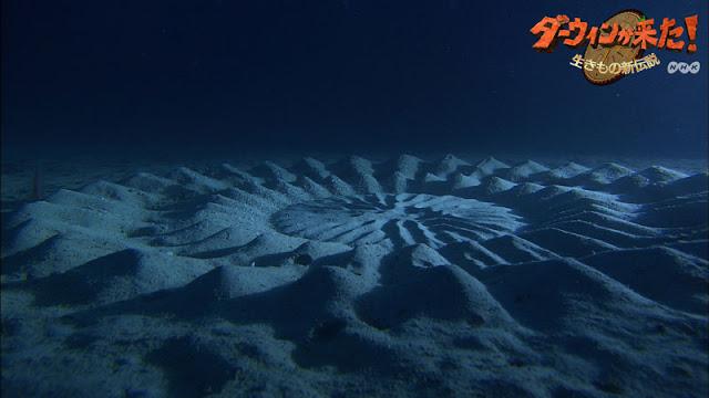 Подводная скульптура во имя любви (6 фото)