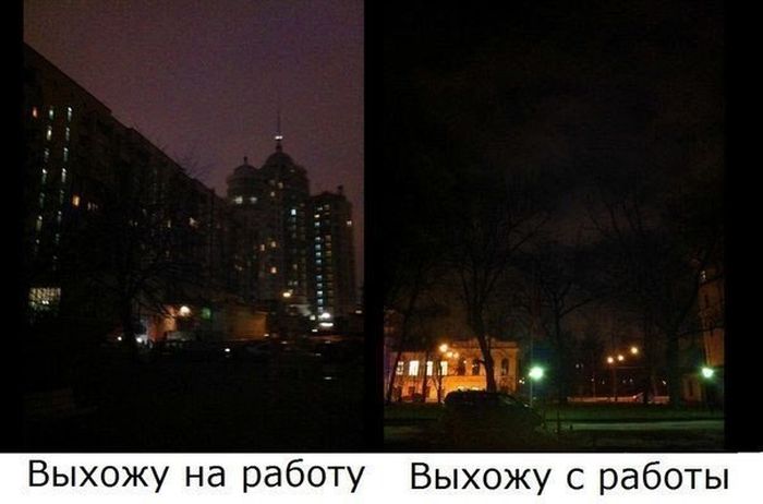 Порция картинок
