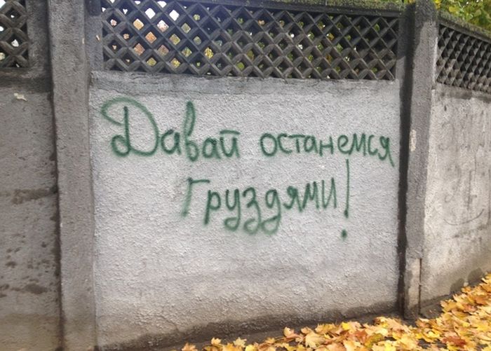 Порция картинок