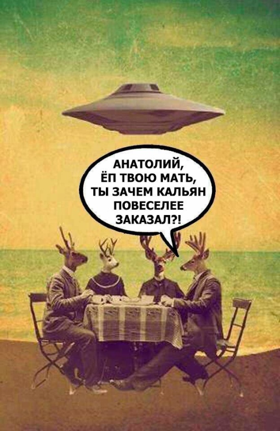 Нестандартный юмор с просторов сети