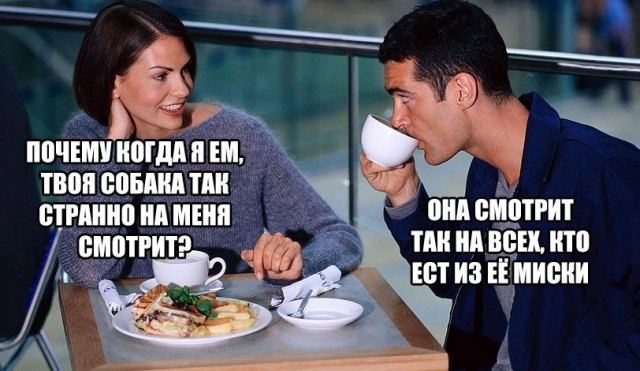 Нестандартный юмор с просторов сети