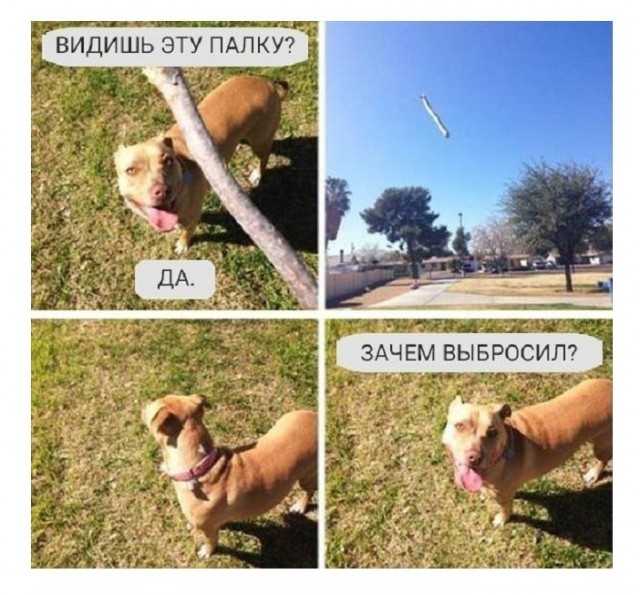Нестандартный юмор с просторов сети